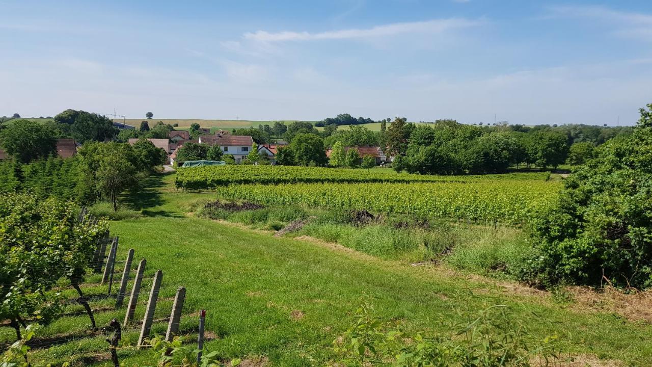 Ferienwohnung Haus Rebenblick Dierbach Exterior foto