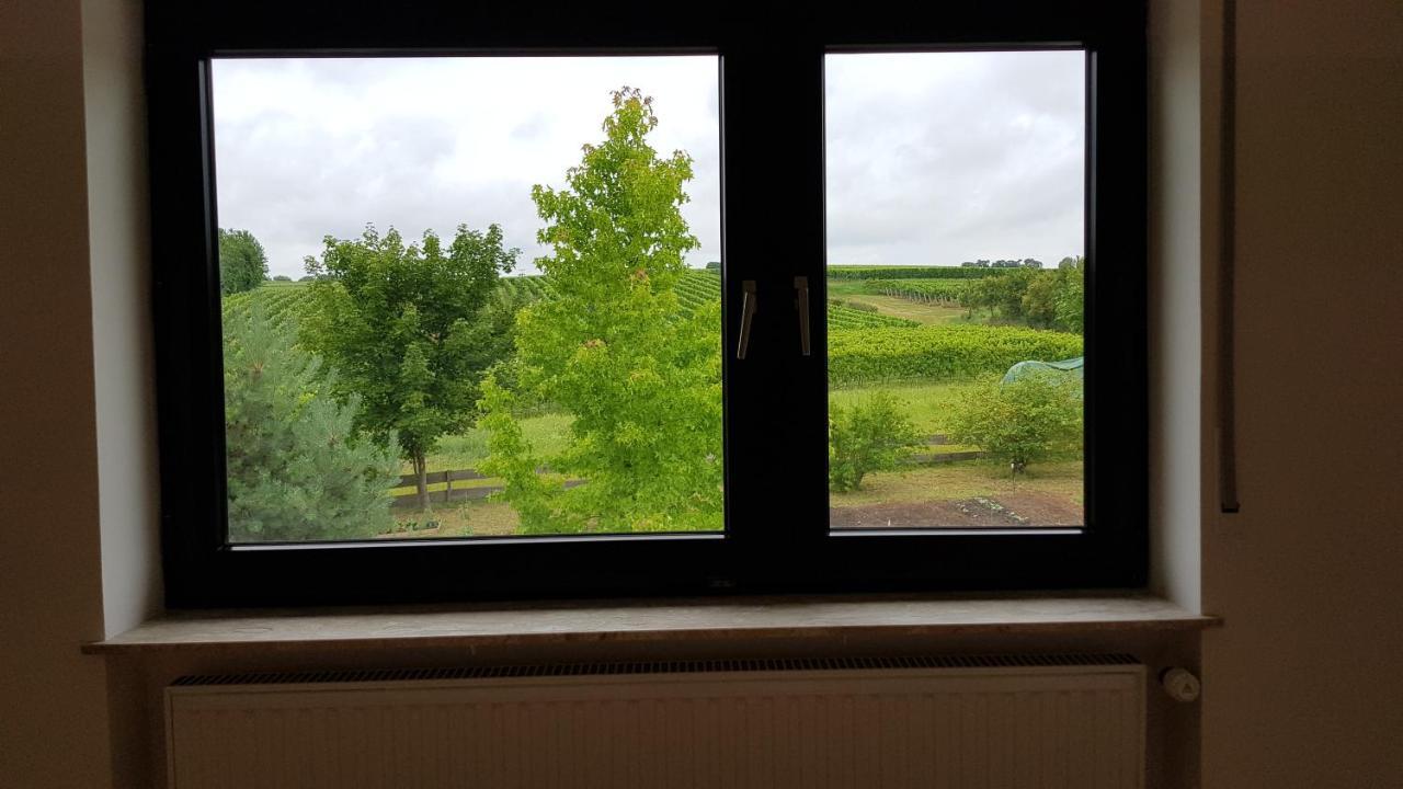 Ferienwohnung Haus Rebenblick Dierbach Exterior foto
