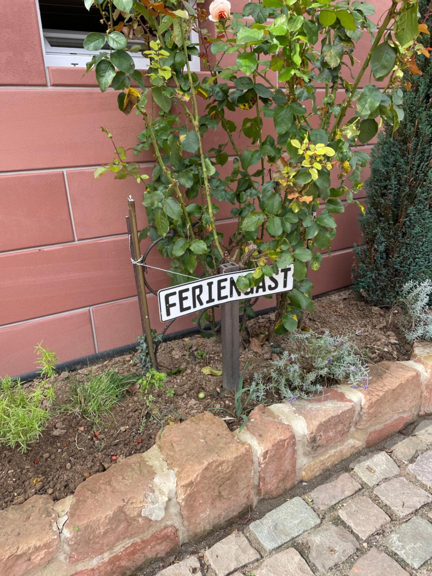 Ferienwohnung Haus Rebenblick Dierbach Exterior foto